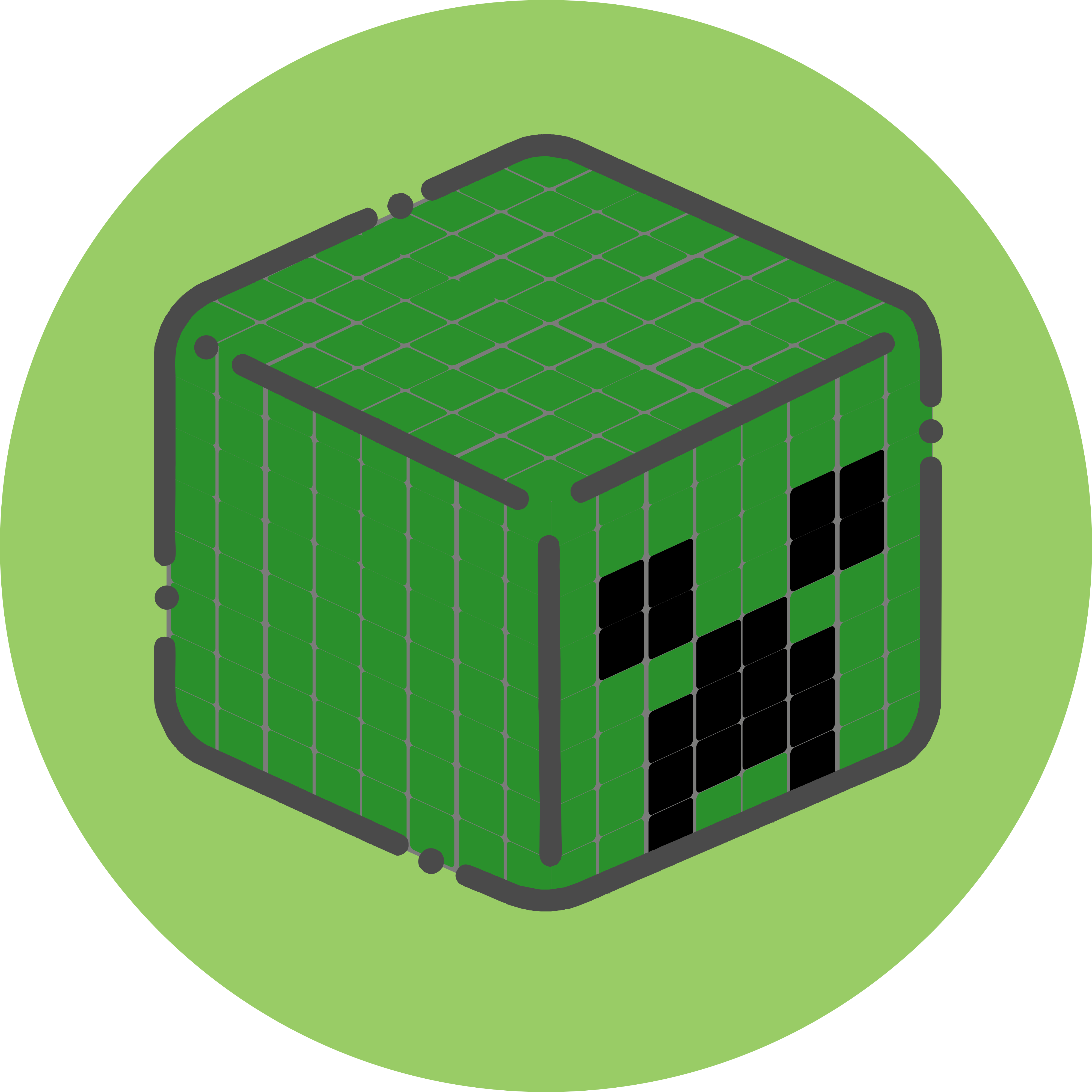 Minecraft character