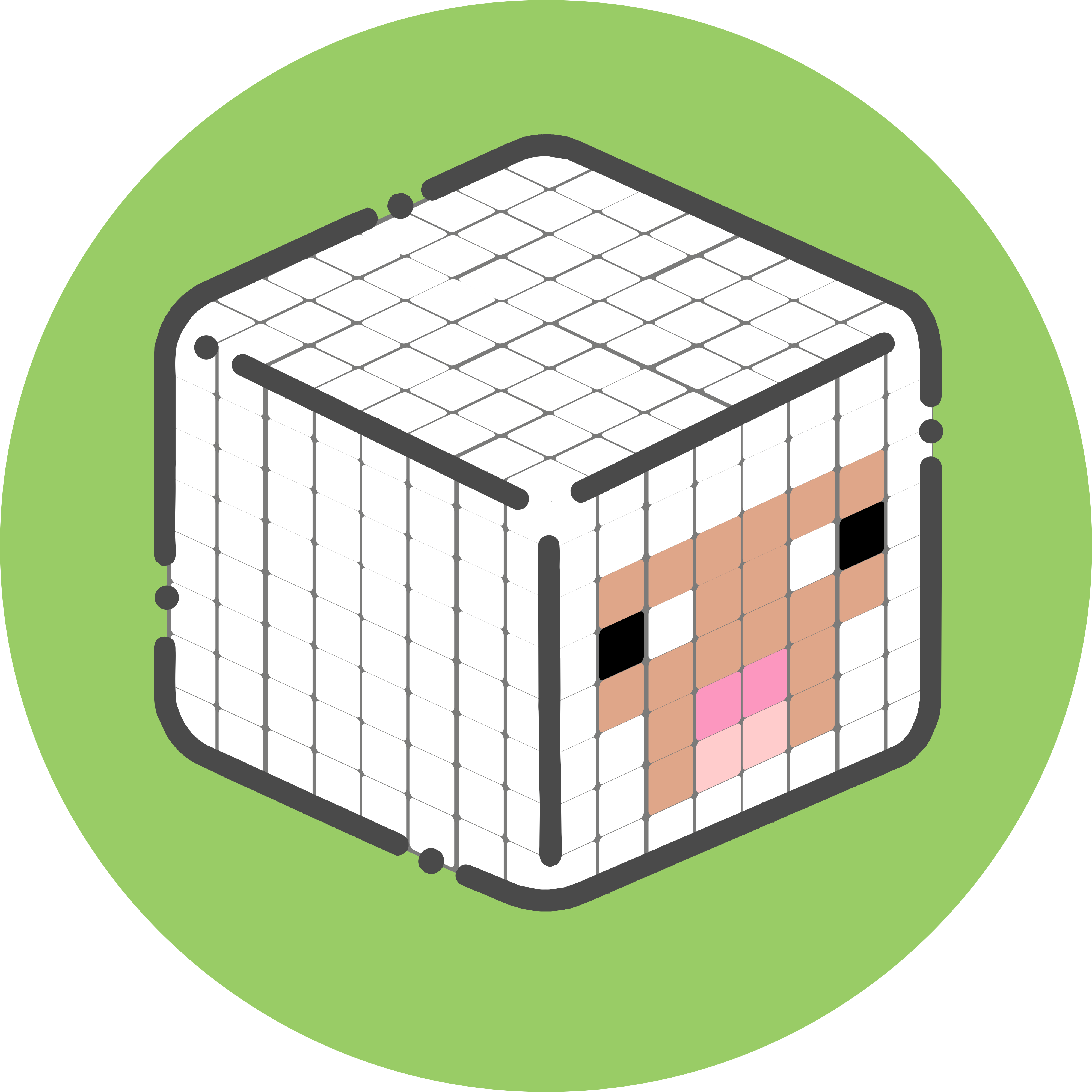 Minecraft character