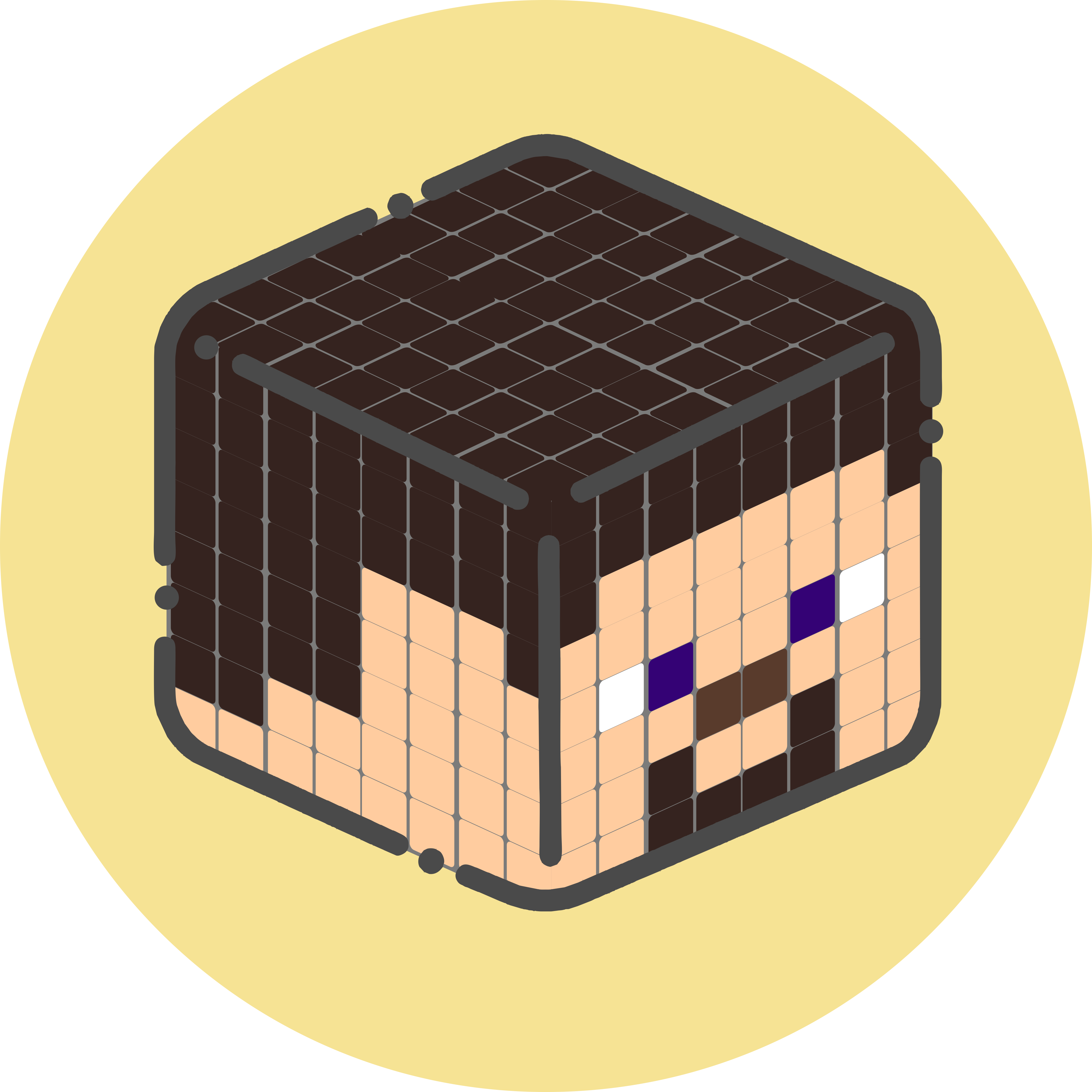 Minecraft character
